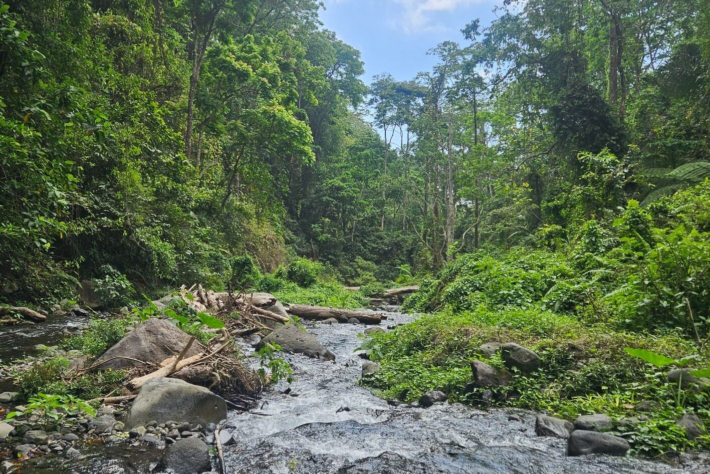 Rocky river surrounded by dense jungle below Sendang Gile waterfall in Senaru, Lombok