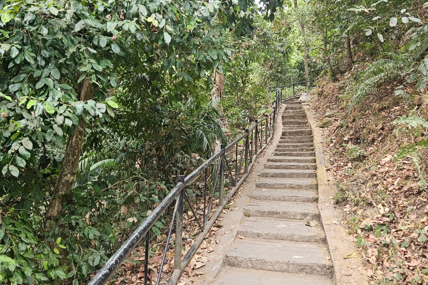 Long concrete staircase with a metal railing climbing through the jungle back from Tiu Kelep waterfall in Senaru, Lombok