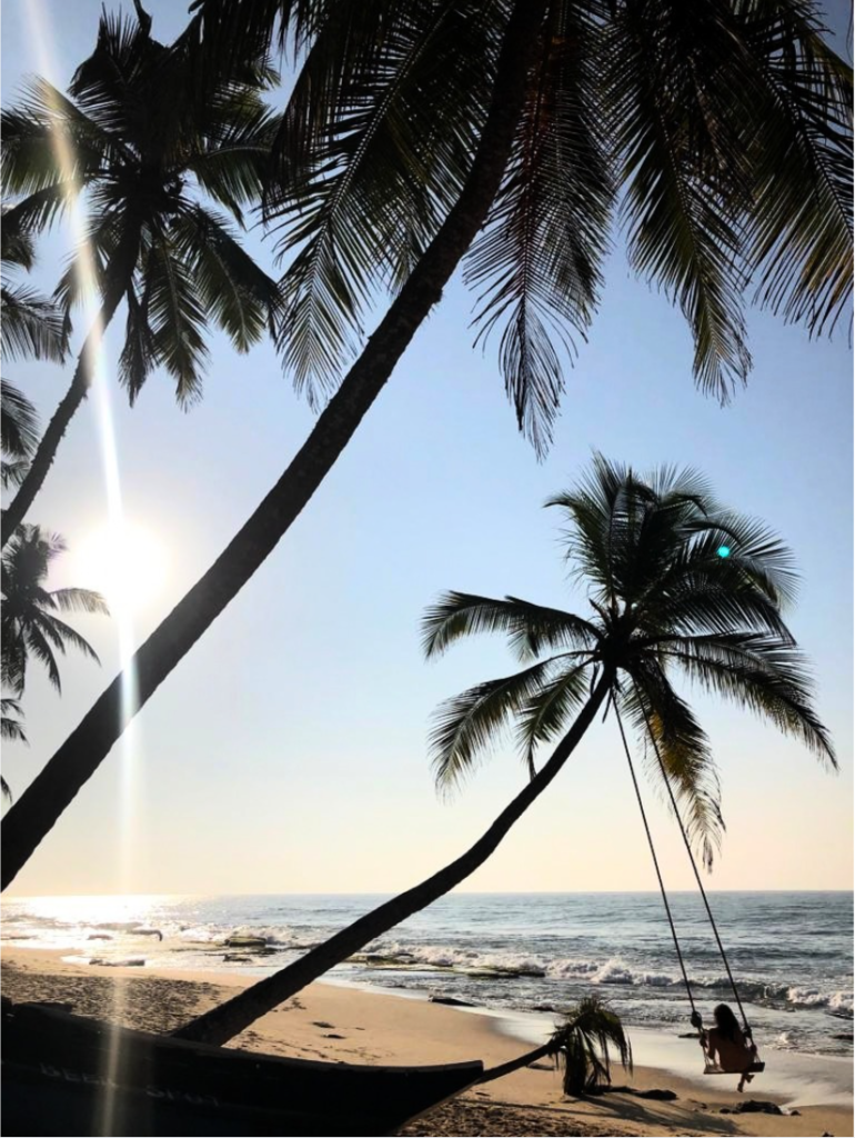 Palm trees and a rope swing on a quiet beach near Tangalle, Sri Lanka, with the sun shining through the leaves